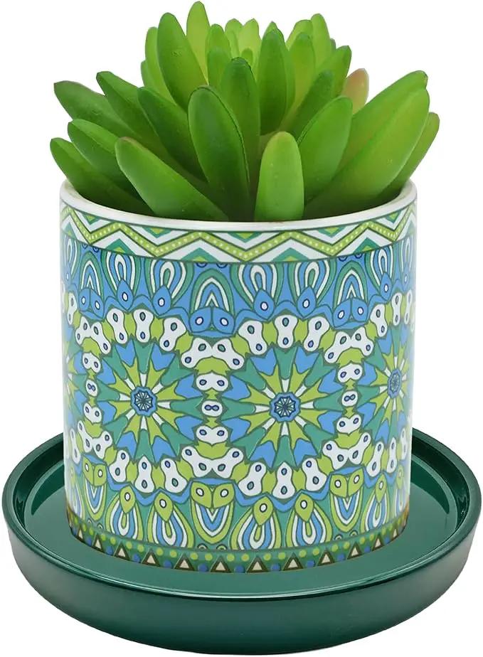 2 Pack Ceramic Plant Saucer Pot Tray 8 Inch, Planter Saucers 4 5 6 7 8 9 10 11 12 Inch for Indoors Outdoor, Durable Sturdy Flower Drainage Tray for Glazed Pots Base (8.5 Inch Green) by GreenHaven Gardens