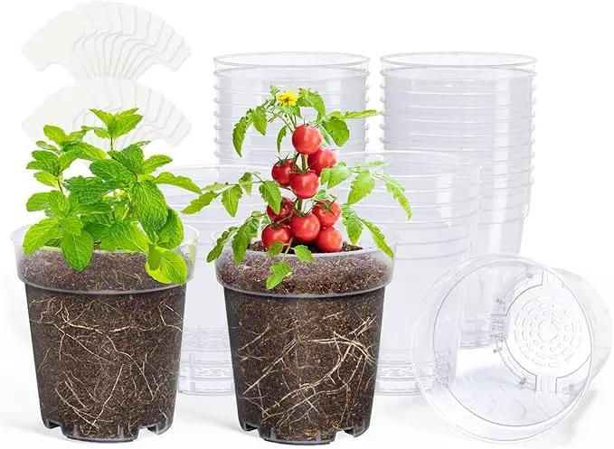 homenote Clear Nursery Pots for Plants,5 Inch Plant Pot for Planting Plastic Seedling with Drainage Holes Seed Starter Flower High Transparency with 20 Labels (30 Pack) by GreenHaven Gardens