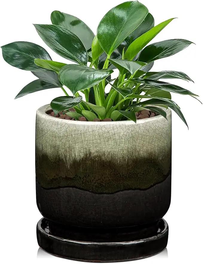 Oairse Ceramic Pot for Plants - 5.5 inch Small Planter with Drainage Hole and Saucers - Gradient Black Outdoor Indoor Flower Pot for Succulent, Cactus, Snake Plant, Herb by GreenHaven Gardens
