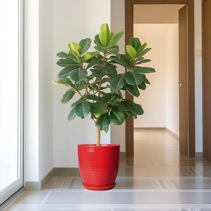 Ceramic Pot for Plants 12 Inch - Plant Pot Indoor with Drainage Hole and Saucer Round Large Planter for Outdoor Plants Mid Century Modern Flower Pot for Home Decor Red by GreenHaven Gardens