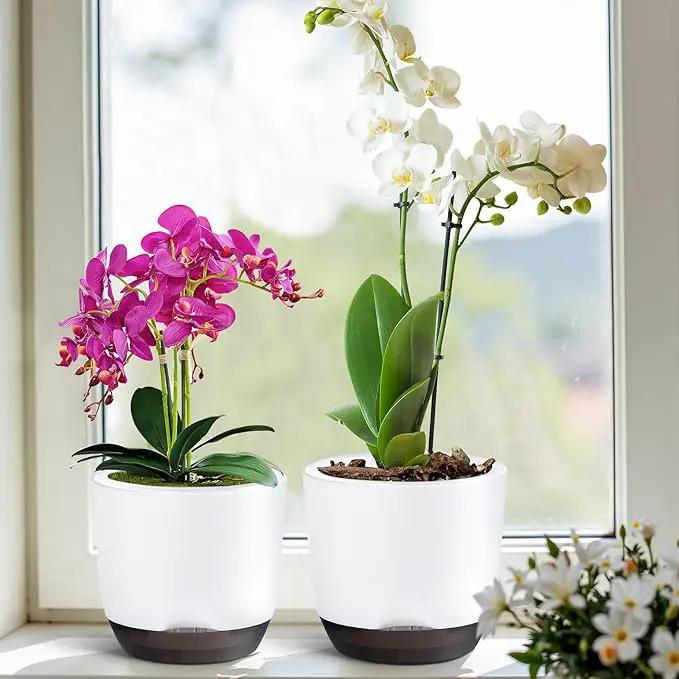 QCQHDU 2 Pack Orchid Pots with Holes for Repotting, Double-Layer and Self Watering Orchid Pot with Good Air Circulation by GreenHaven Gardens