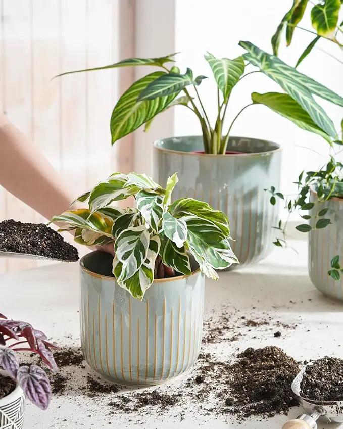 LE TAUCI Fluted Ceramic Planters Set of 3 – 8.3/7 / 5.7 in Blue Gray Reactive Cylinder Indoor Plant Pots with Drainage Plug & Mesh, Glossy Stoneware Flower Pots for Succulents Herbs by GreenHaven Gardens