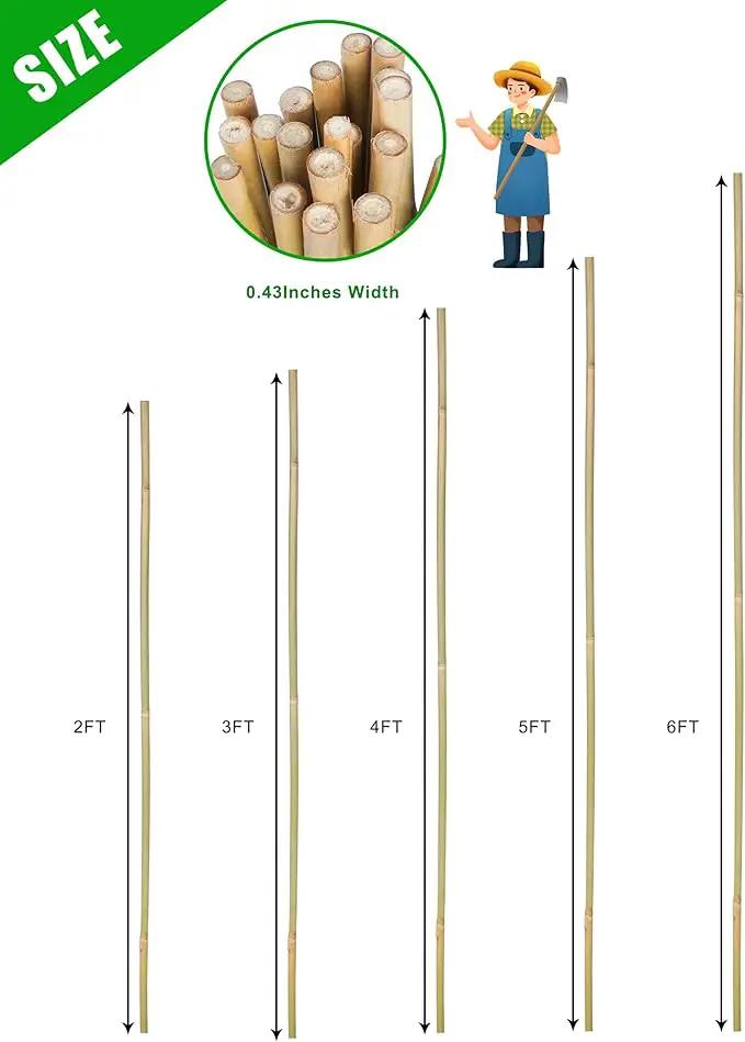 2ft Natural Bamboo Plant Stakes for Tomatoes, Beans, Flowers, Potted, Climbing Plants 25pcs by GreenHaven Gardens