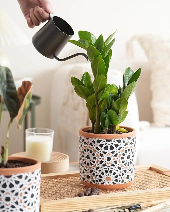 Ceramic Flower Pots for Indoor Plants Set of 2, 5 Inch Boho Plant Pot with Drainage Holes,Modern Planter for Decora Succulents/Snake Plant/Orchid/Peace Lily/House Plants,Terracotta by GreenHaven Gardens
