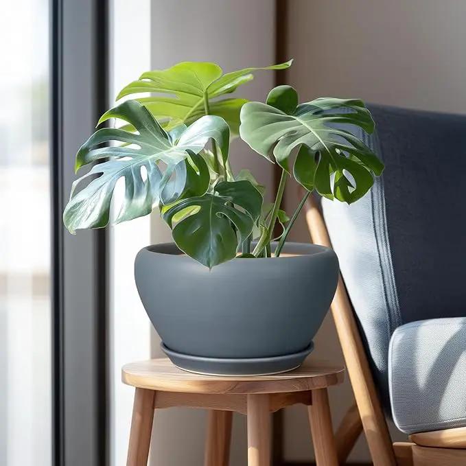 Ceramic Plant Pot - 11 Inch Planter for Indoor Plants Large Plant Pot with Drainage Hole and Saucer Round Outdoor Planter Modern Flower Pot for Home Decor Gray by GreenHaven Gardens