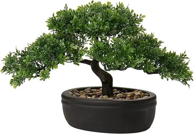 Artificial Bonsai Tree Juniper Faux Plants Indoor Small Fake Plants Decor with Ceramic Pots for Home Table Office Desk Bathroom Shelf Bedroom Living Room Farmhouse Decorations by GreenHaven Gardens