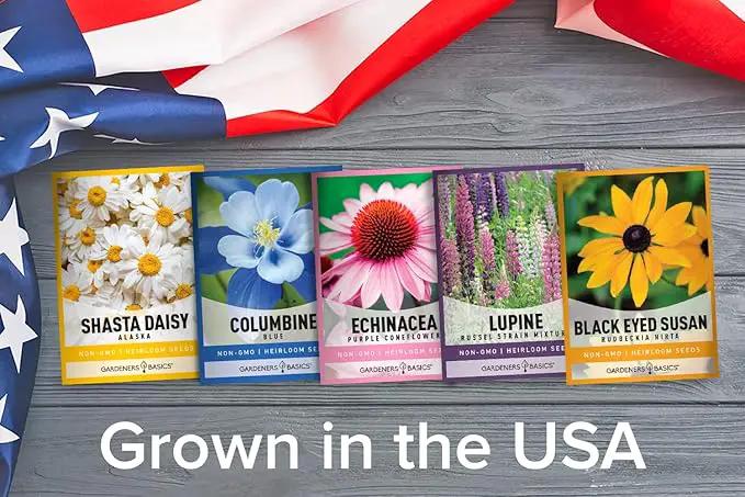 Gardeners Basics, Perennial Flower Seeds for Planting Outdoors (5 Variety Pack) Lupine, Columbine, Echinacea Purple Coneflower, Black Eyed Susan, Shasta Daisy for Pollinators Wildflower Seed by GreenHaven Gardens