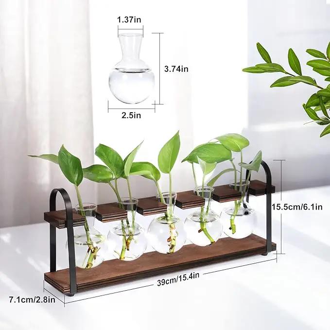 THYGIFTREE Plant Propagation Stations with Wooden Stand, Desktop Retro Plant Terrarium Bulb Vase for Indoor Hydroponic Flowers, Tabletop Glass Planter Housewarming Gifts for Plant Lovers by GreenHaven Gardens