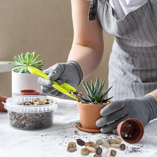 10 lbs Pebbles for Indoor Plants, Succulent, Bamboo, Vase, 3/8" Plant Rocks for Pots Indoor, Small River Rocks Decorative Pea Gravel, Highly Polished by GreenHaven Gardens