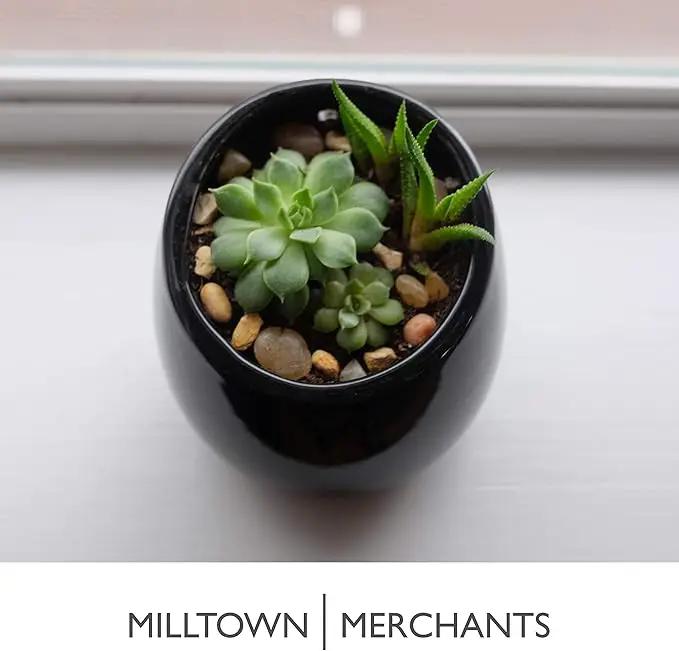 Milltown Merchants Succulent Wall Planter - Black Ceramic Mounted Vase - Plant Pot for Living Wall (1 Pack/Modern/Black) by GreenHaven Gardens