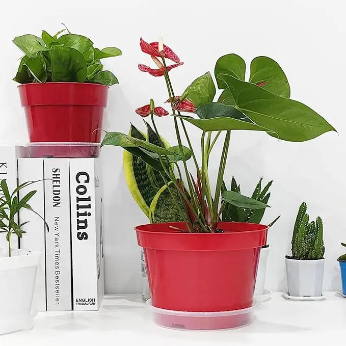 8 inch Plastic Flower Pots, Red Plant Pots 12Pack with Saucers for Indoor House Plants Growing and Decoration by GreenHaven Gardens