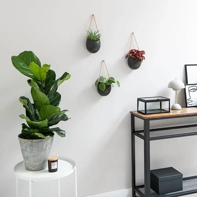 Wall Planters -Ellie- | Hanging Ceramic Plant Pots 3 Pieces | Wall Decoration for Indoors, Balcony and Garden | Graphite (Matte) by GreenHaven Gardens