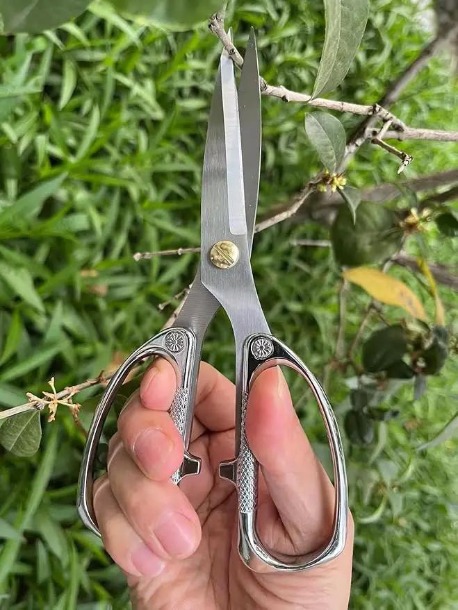 Indoor Plant Shears Bud Trimming Scissors, Japan SK5 Stainless Steel Floral scissors, Flowers Herbs and Stem Cutters, Clippers, Trimmers, Loppers, Bonsai Garden Pruning Scissors by GreenHaven Gardens