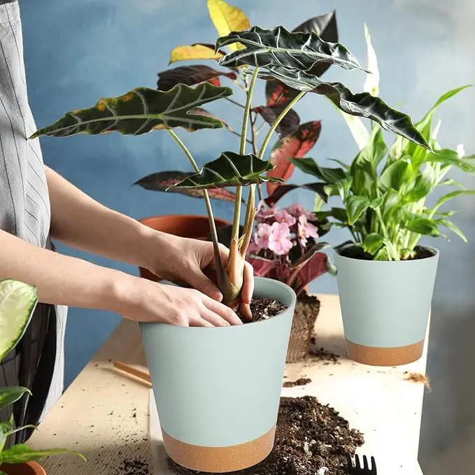 GARDIFE Plant Pots 7/6.5/6/5.5/5 Inch Self Watering Planters with Drainage Hole, Plastic Flower Pots, Nursery Planting Pot for All House Plants, African Violet, Flowers, and Cactus,Green by GreenHaven Gardens
