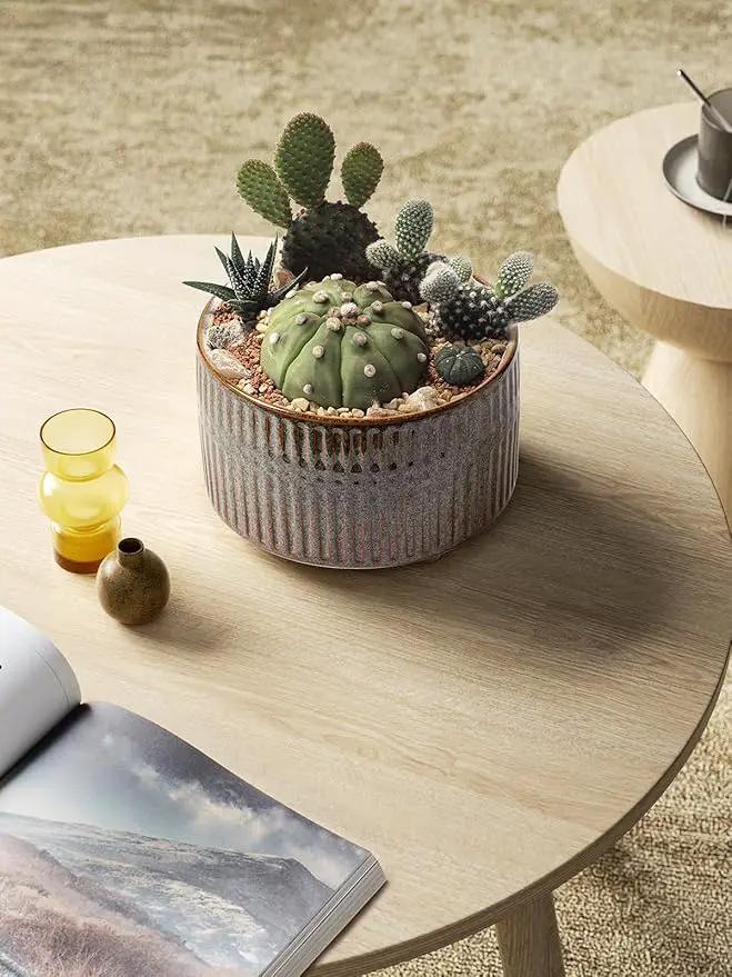 LE TAUCI Succulent Pots, 6.5+8 Inch Ceramic Indoor Plant Pot with Drainage Hole, Modern Round Decorative Flower Pot, Set of 2, Reactive Glaze Black by GreenHaven Gardens
