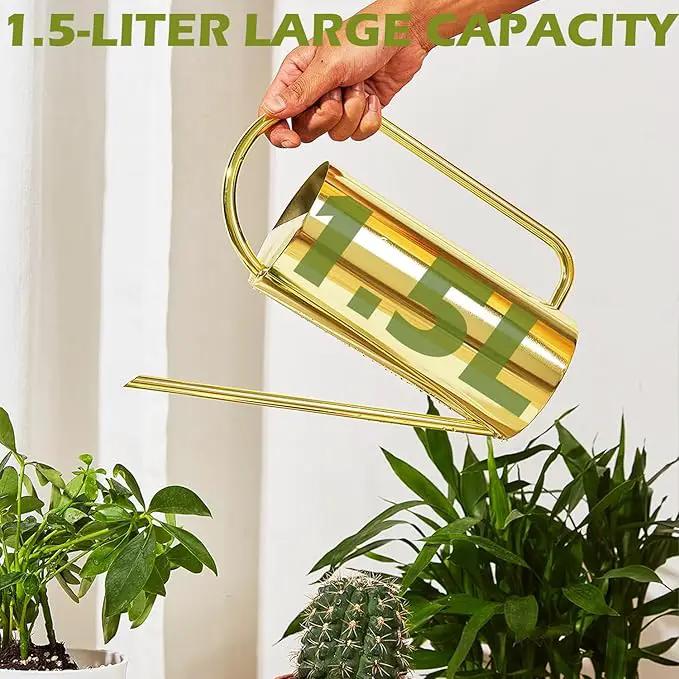 Watering Can for Indoor Plants, 50 oz/1.5L Stainless Steel Watering Can Pot with Long Spout, Garden Watering Cans with Comfortable Handle for Indoor House Plants Bonsai Flower Decorative by GreenHaven Gardens
