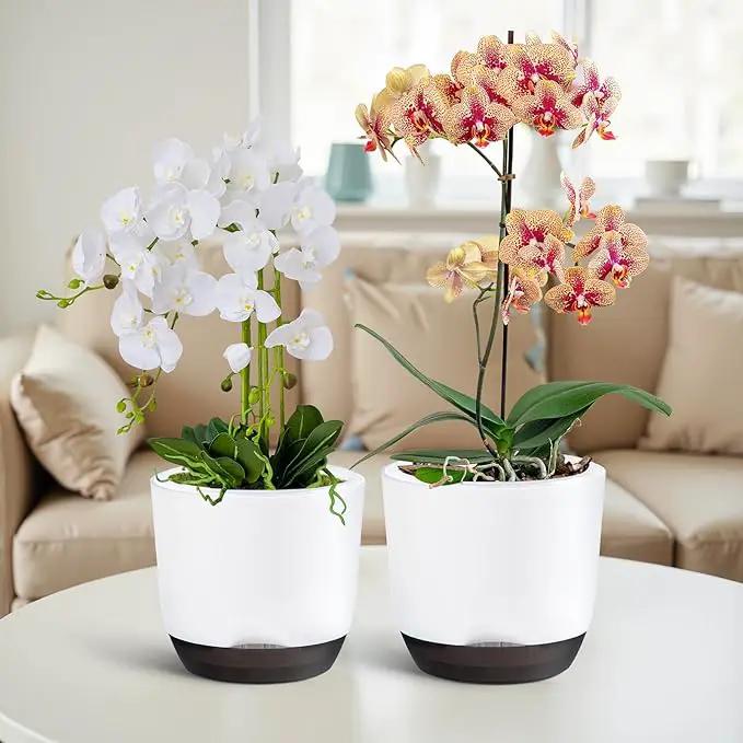 QCQHDU 2 Pack Orchid Pots with Holes for Repotting, Double-Layer and Self Watering Orchid Pot with Good Air Circulation by GreenHaven Gardens