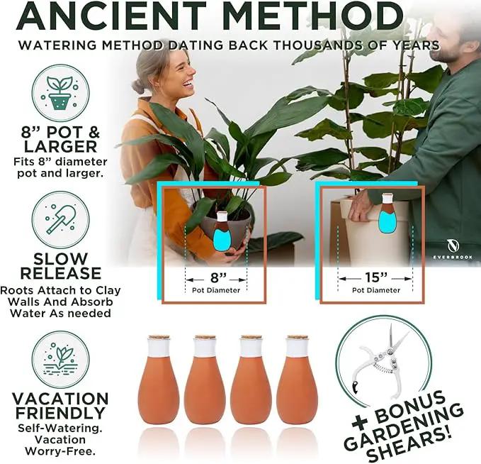 Plant Self Watering Globes - Terracotta Watering Spikes - Slow Release Olla Watering Pots - Drip Irrigiation Olla System by GreenHaven Gardens
