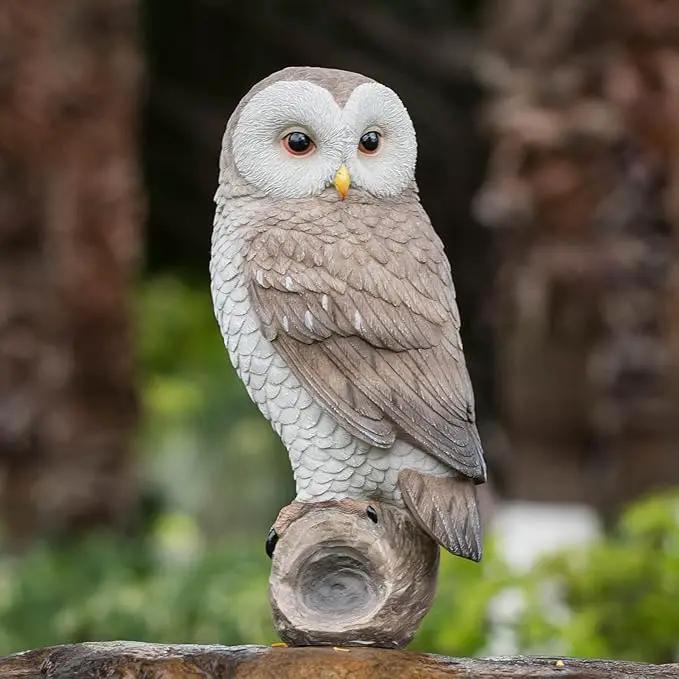 Owl Outdoor Statues Garden Yard - Decoration Home Decor Indoor Desk Tabletop Collectible Figurines Ancient Retro Collection 11" x4.5" x5 Inch by GreenHaven Gardens