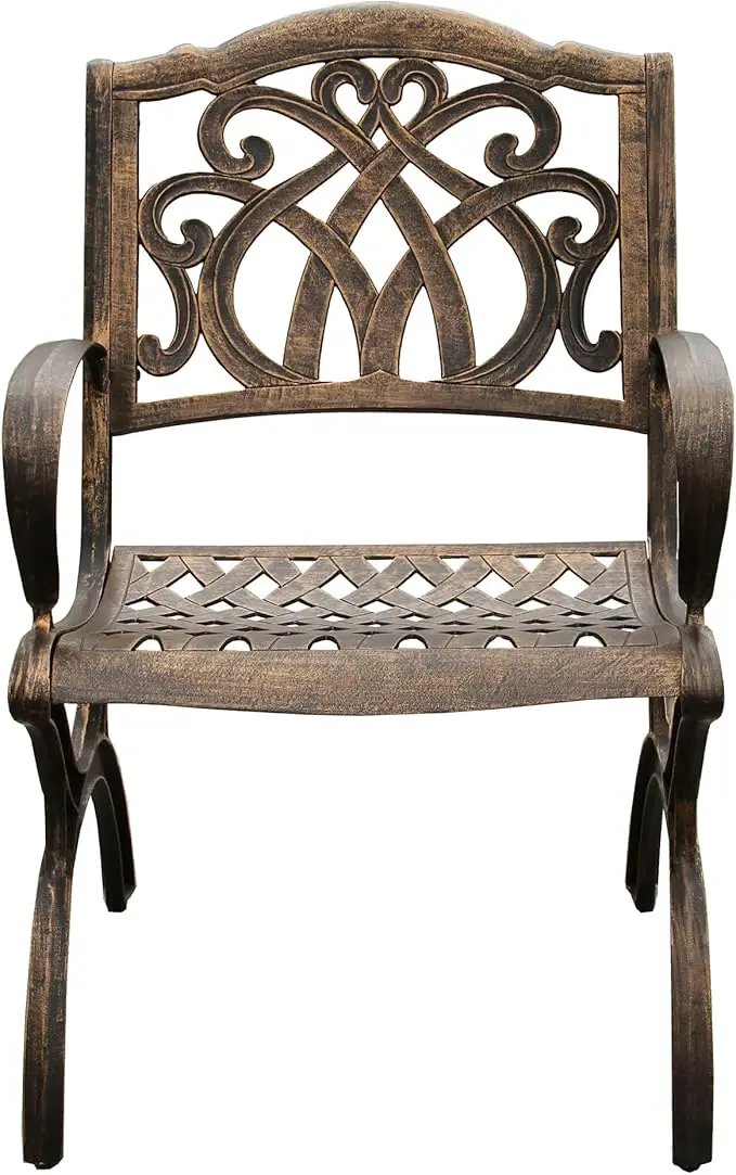 Oakland Living Ornate Traditional Outdoor Cast Aluminum Bronze Patio Dining Chair by GreenHaven Gardens
