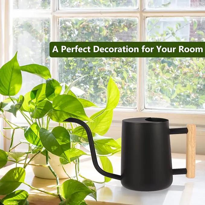 Plant Watering Can,35oz Metal Watering Can,Stainless Steel Watering Can Indoor Plants with Long Curved Spout,Small Watering Can for Indoor Plants,Bonsai Outdoor Garden Modern Decorative(Black) by GreenHaven Gardens