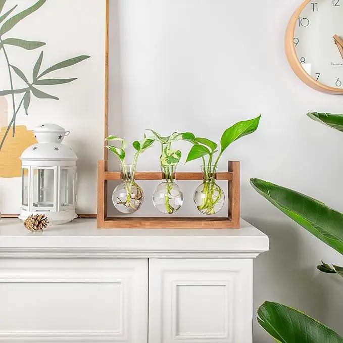 Plant Propagation Station,Plant Terrarium,Plant Starter,Gifts for Plant Lovers,Glass Bulb Terrarium with Retro Solid Wooden Stand for Hydroponics Plants Home Garden Wedding Décor (3 Bulbs) by GreenHaven Gardens