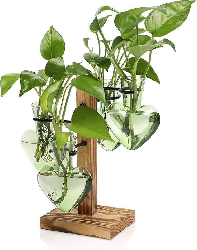 Plants Propagation Stations Plant Terrarium Kit Glass Planters for Indoor Plants House Plant Accessories Gift for Women - 4 Love Bulb Vase by GreenHaven Gardens