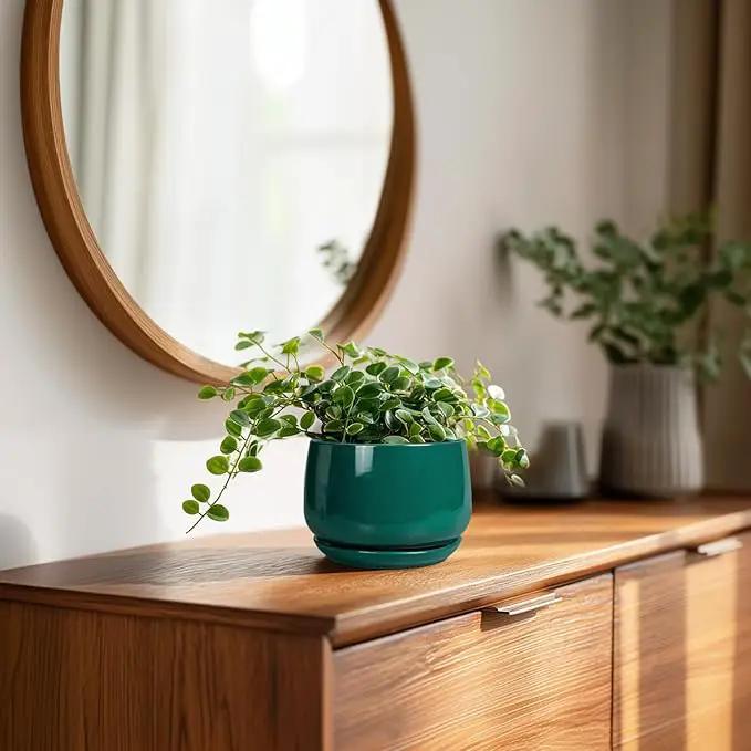 G EPGardening 4 inch Plant Pots - Small Ceramic Planter with Drainage Hole & Tray, Succulent Pots Indoor Outdoor, Round Modern Planter, Decorative Flower Pot, Desk Decor, Gifts for Plant Lover, Green by GreenHaven Gardens