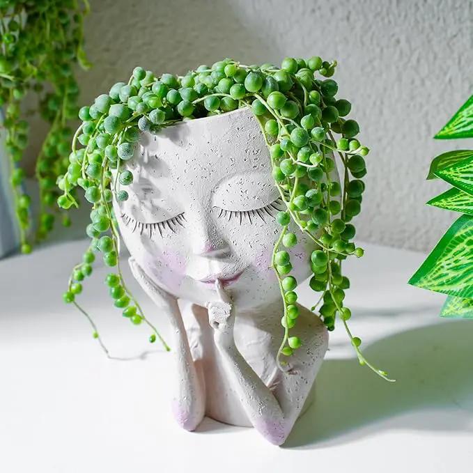 String of Pearls (4-inch), Succulents Plants Live, Succulent Plants Fully Rooted in Pots with Soil, Easy-Care House Plant for DIY, Home Office Decor, Wedding Party Favor by GreenHaven Gardens