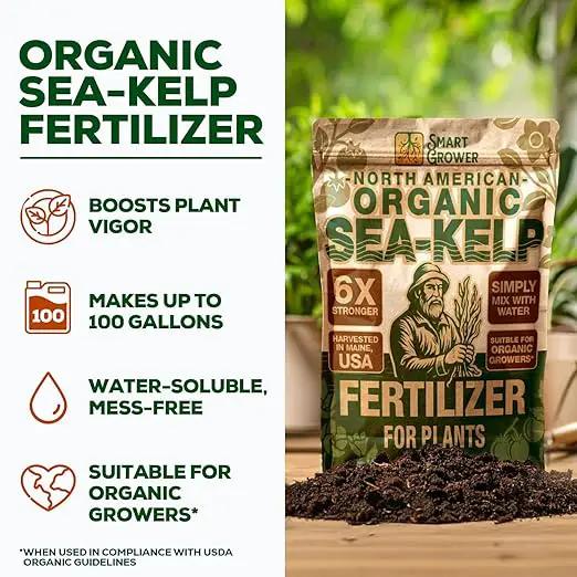 Organic Sea Kelp Fertilizer for Plants – Water-Soluble – Makes 100 Gallons – Kelp Meal Concentrate Plant Food – for Indoor Gardens, Hydroponics, Vegetables, Houseplants - Smart Grower - 4oz Bag by GreenHaven Gardens