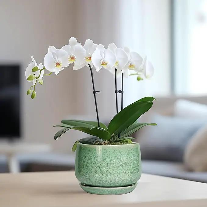 G EPGardening Ceramic Pots for Plants - 6 Inch Plant Pot with Drainage Hole and Saucer, Modern Ceramic Planter for Indoor Outdoor, Round Flower Planter, Gifts for Plants Lovers, Home Decor, Green by GreenHaven Gardens