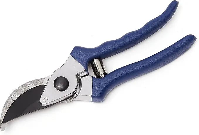 Amazon Basics Professional Hand Pruners, Garden Clippers, Pruning Shears, 8-inch Steel Bypass Garden Scissors, Blue by GreenHaven Gardens
