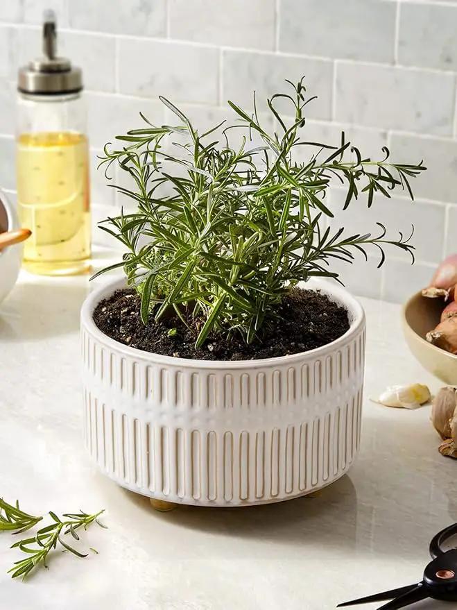 LE TAUCI Succulent Pots, 6.5+8 Inch Ceramic Indoor Plant Pot with Drainage Hole, Modern Round Decorative Flower Pot, Set of 2, Reactive Glaze White by GreenHaven Gardens