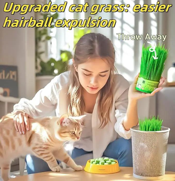 120g/4.23oz Cat Toy Cats Grass Treats, Fish Oil Kitten Grass Catnip Stick for Hairball Removal Teeth Cleaning Cats Edible Freeze Dried Kitty Lickable Chew Dental Snack for Indoor Kitty Food by GreenHaven Gardens