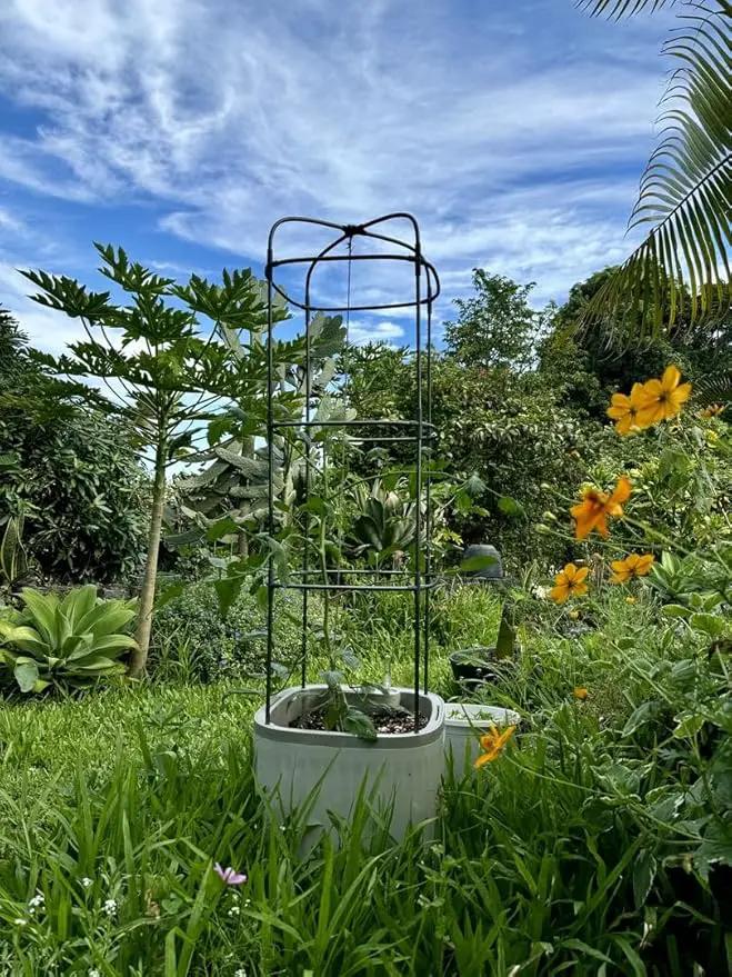 Vego garden Tomato Planter Box with Trellis Self-Watering Rolling Raised Garden Bed for Climbing Vegetables Plants Cage - Sage Green by GreenHaven Gardens