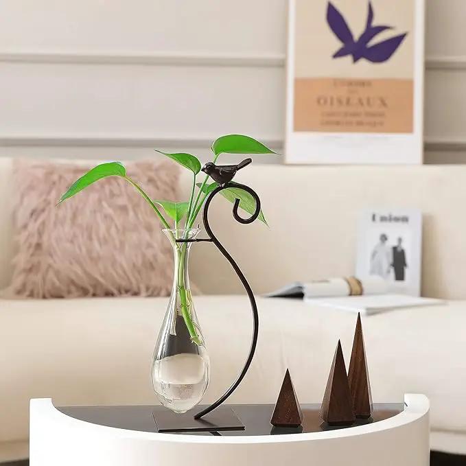 Marbrasse Desktop Glass Planter Hydroponics Vase,Planter Bulb Vase with Holder for Home Decoration,Modern Creative Bird Plant Terrarium Stand, Scindapsus Container (Water Drop Vase) by GreenHaven Gardens