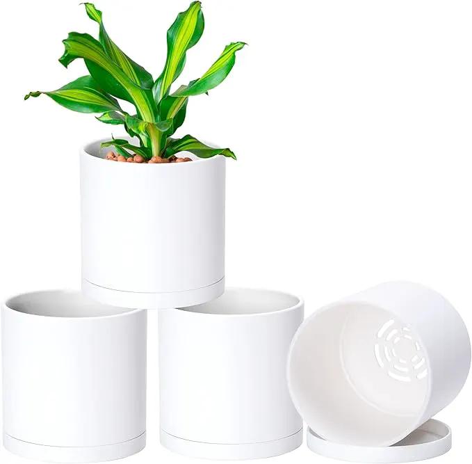 D'vine Dev 4 Pack 5.5 Inch Modern Plastic Plant Pots, Small Garden Planters for Plant with Drainage Holes and Saucers, White Color, 74-Z-H-2 by GreenHaven Gardens