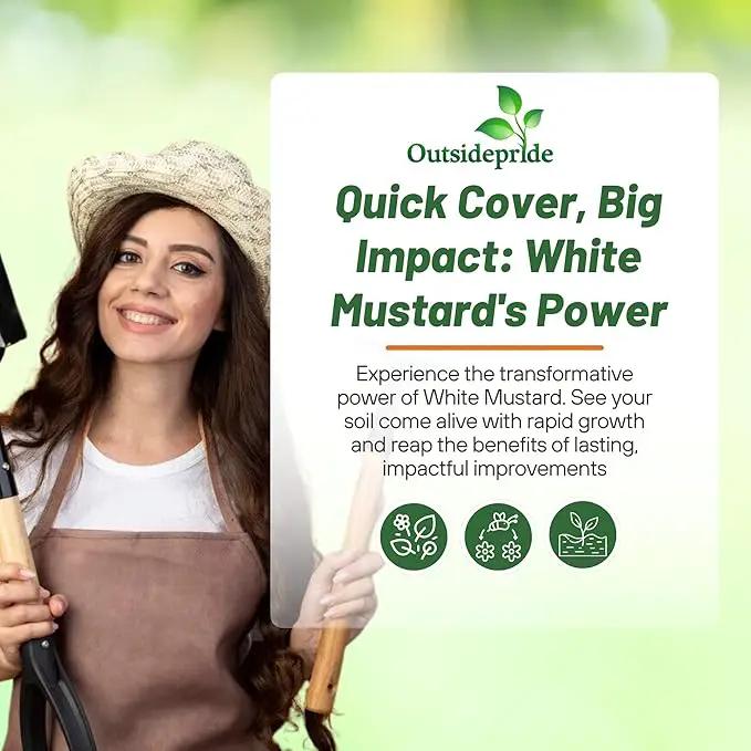 Outsidepride White Mustard Seeds for Planting - 50 lb Annual Cover Crop Seeds w/Deep Root System, High Protein Forage, Ideal for Soil Fertility, Crop Rotations, & Livestock Nutrition by GreenHaven Gardens