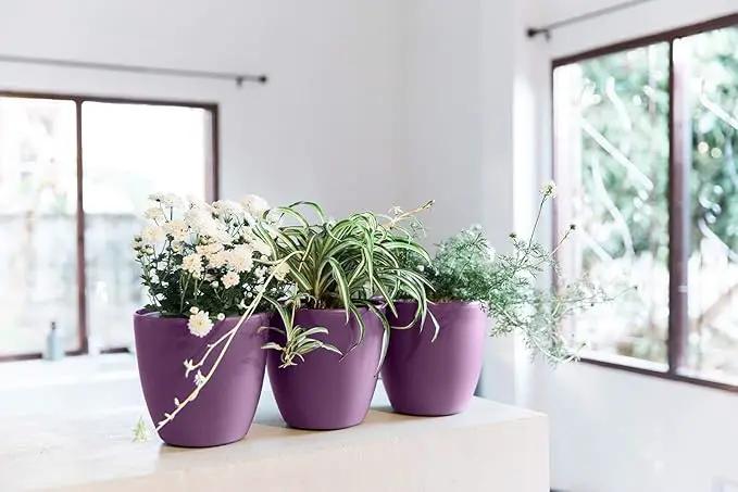GARDENIX DECOR Self Watering Pots for Indoor Plants 3 Pack - Flower Pot with Water Level Indicator for Plants, Grow Tracking Tool - Self Watering Planter Plant Pot - Coco Coir - Purple by GreenHaven Gardens