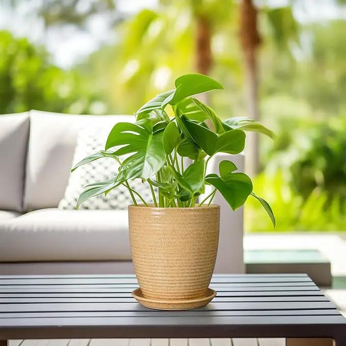 Pot for Plants 8 Inch - Ceramic Planter Indoor Plant Pot with Drainage Hole and Saucer Planter for Outdoor Plants Round Flower Pot for Home Patio Garden Office Decor Yellow by GreenHaven Gardens