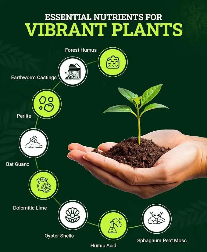 FoxFarm Happy Frog Potting Soil, 12qt – for Indoor/Outdoor Container Plants, Improves Root Efficiency, pH Adjusted for Optimal Nutrient Uptake – Contains Microbes and Humic Acids (Pack of 2) by GreenHaven Gardens