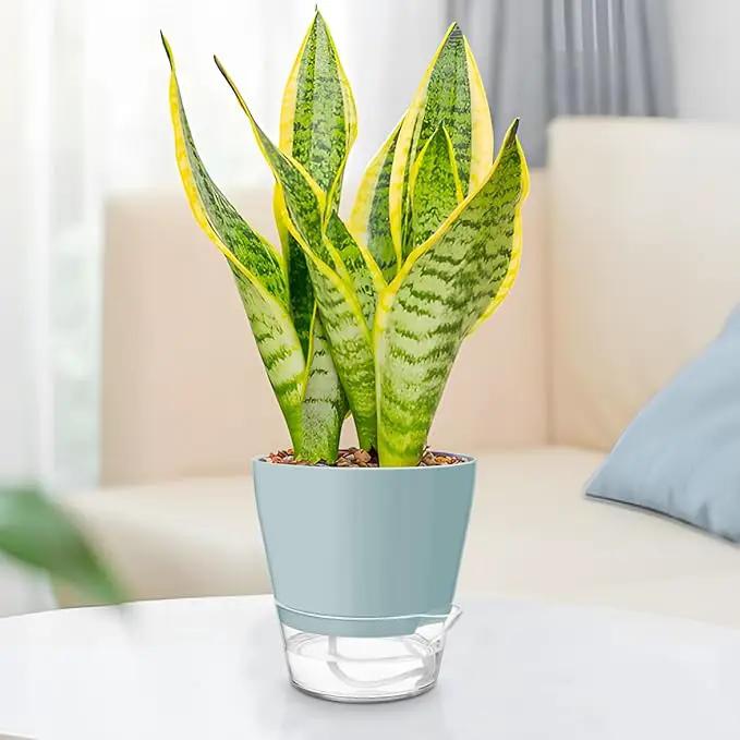 Hayder Plant Pots 6 inch Set of 6, Self Watering Flower Pots Indoor Outdoor, Self Watering Planters with Drainage Hole & Clear Saucer Reservoir by GreenHaven Gardens