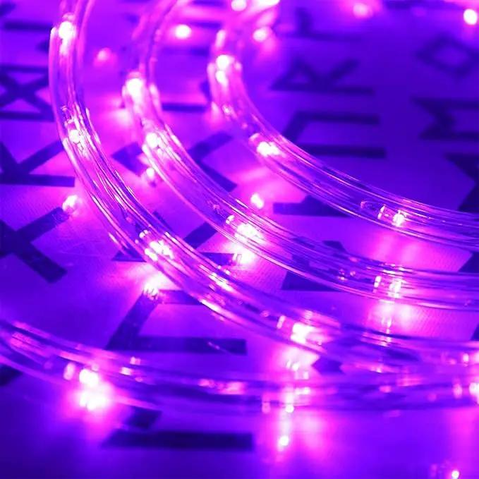 150ft LED Rope Lights Outdoor, 1080 LED Connectable and Flexible Tube Lights with 8 Modes, Waterproof LED Rope Lighting for Garden, Patio, Bedroom, Party, Pool, Indoor Outdoor Decoration (Purple) by GreenHaven Gardens