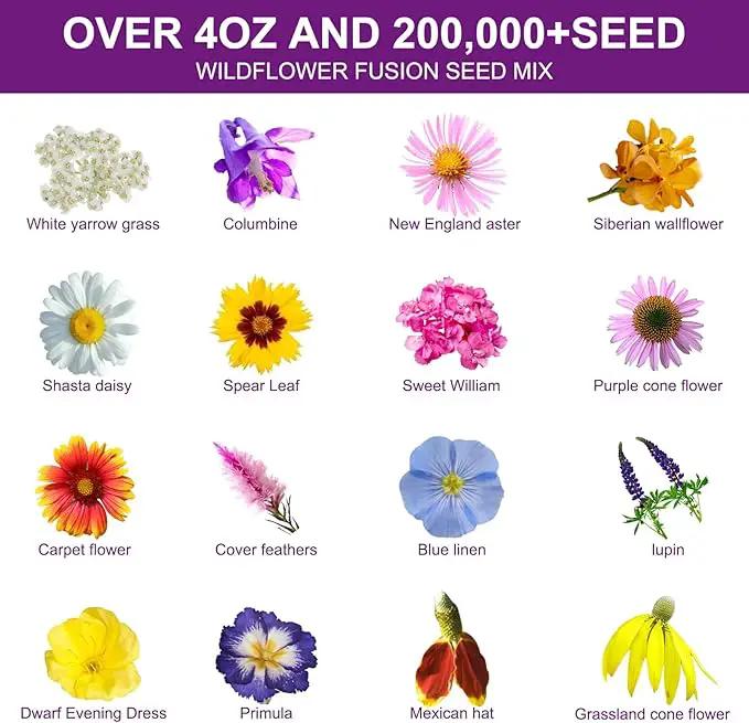 200,000 Wildflower Seeds Mix Bulk - Includes 16 Perennial Wildflower Seeds for Indoor & Outdoor Gardens - Premium Garden and Wildflower Seeds Combo by GreenHaven Gardens