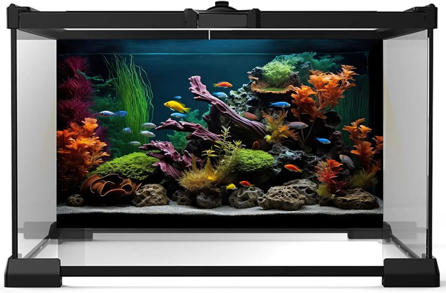 Aquarium Background Lush Aquatic Colorful Plants Terrarium Background Redwood Root Coral Reef Jungle Style Fish Tank Background Amazing Underwater View Aquarium Backdrop Wallpaper Poster Vinyl 60x24in by GreenHaven Gardens