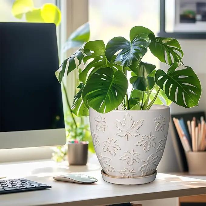 Ceramic Pots for Plants - 8 Inch Plant Pot with Drainage Hole and Saucer Large Planter Pot for Indoor Plants Outdoor Modern Flower Pot Home Decor White by GreenHaven Gardens