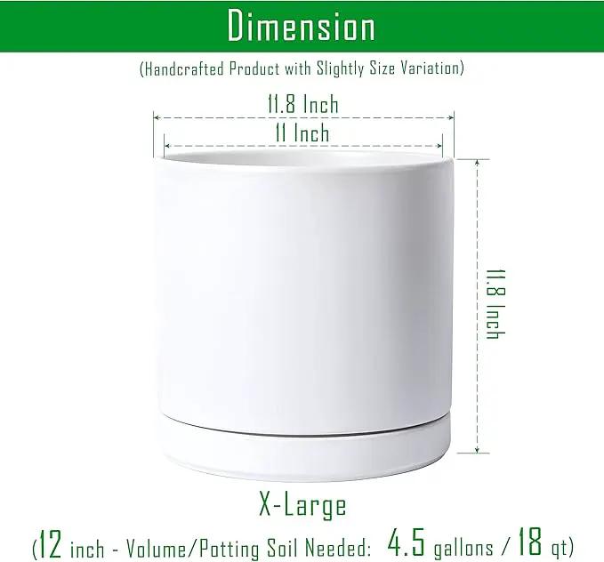 D'vine Dev 12 Inch Ceramic Planter Pot with Drainage Hole and Saucer, Indoor Cylinder Round Planter Pot, White, 94-O-F-1 by GreenHaven Gardens