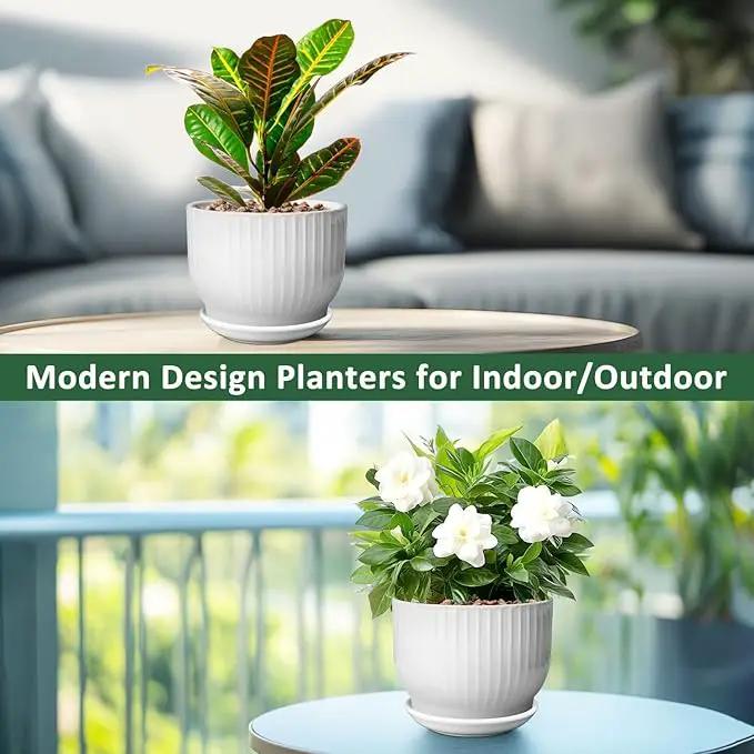 8 Inch Plant Pot,Ceramic Planter with Drainage and Saucer,Ceramic Pots for Plants,Indoor Plant pots,Ceramic Flower pots(Pure White, Plants NOT Included) by GreenHaven Gardens