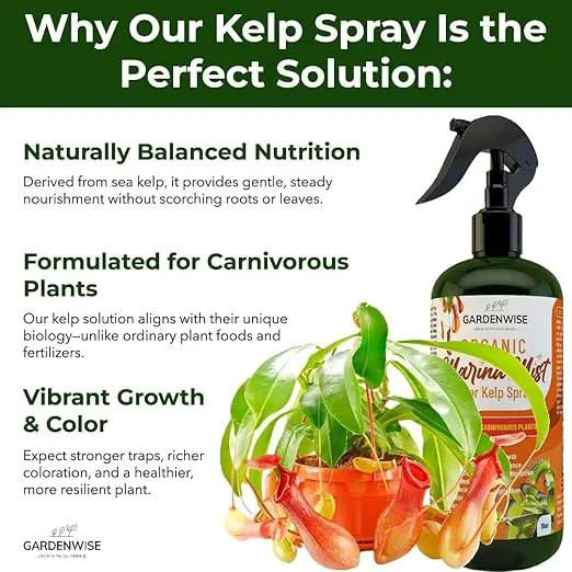 100% Organic Marina Mist Carnivorous Plant Food | Liquid Kelp Foliar Spray for Plants - Kelp Fertilizer for Venus Flytraps, Sundew, Butterworts, Pitcher Plants 8 Oz by GreenHaven Gardens