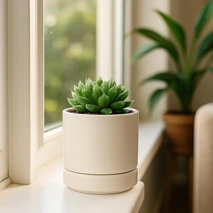 D'vine Dev 4.7 Inch Ceramic Planter Pot with Drainage Hole and Saucer, Indoor Cylinder Round Planter Pot, Oatmeal, 94-O-B-8 by GreenHaven Gardens